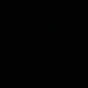 Meet your Posher, Zade anna